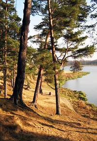 Красивые места Нижегородской области